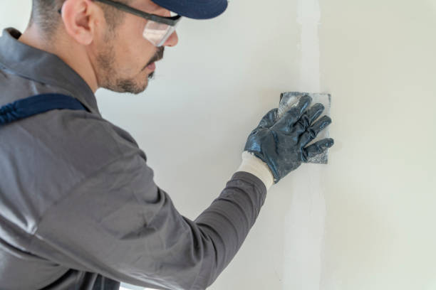 Best Drywall Removal and Disposal  in Linglestown, PA